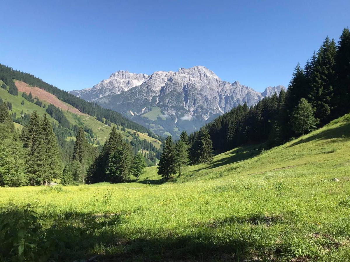 Untergrundgut Βίλα Leogang Εξωτερικό φωτογραφία